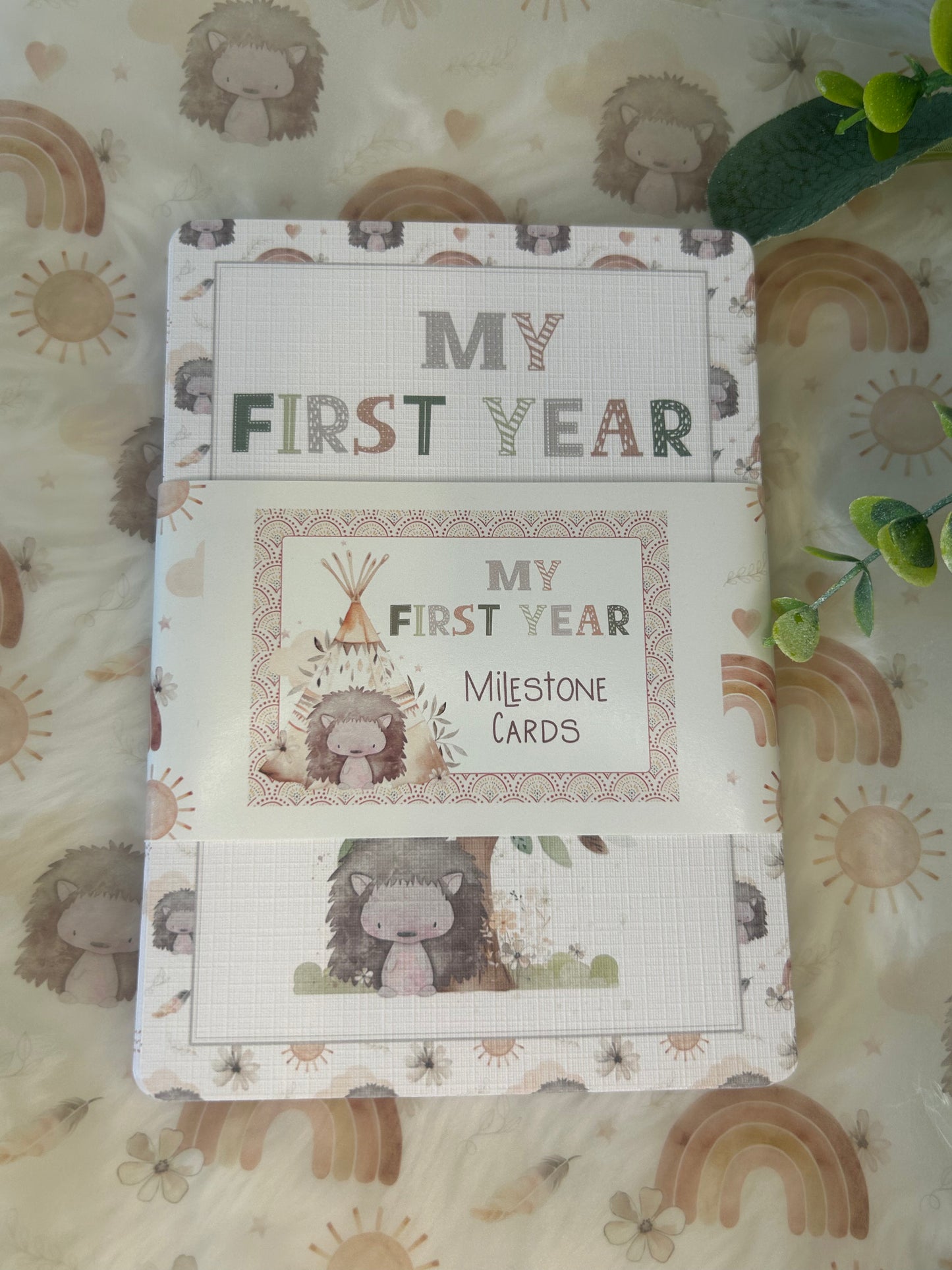 Baby milestone cards, Boho Hedgehog Rainbow, Baby shower Gift, My first year, New baby gift
