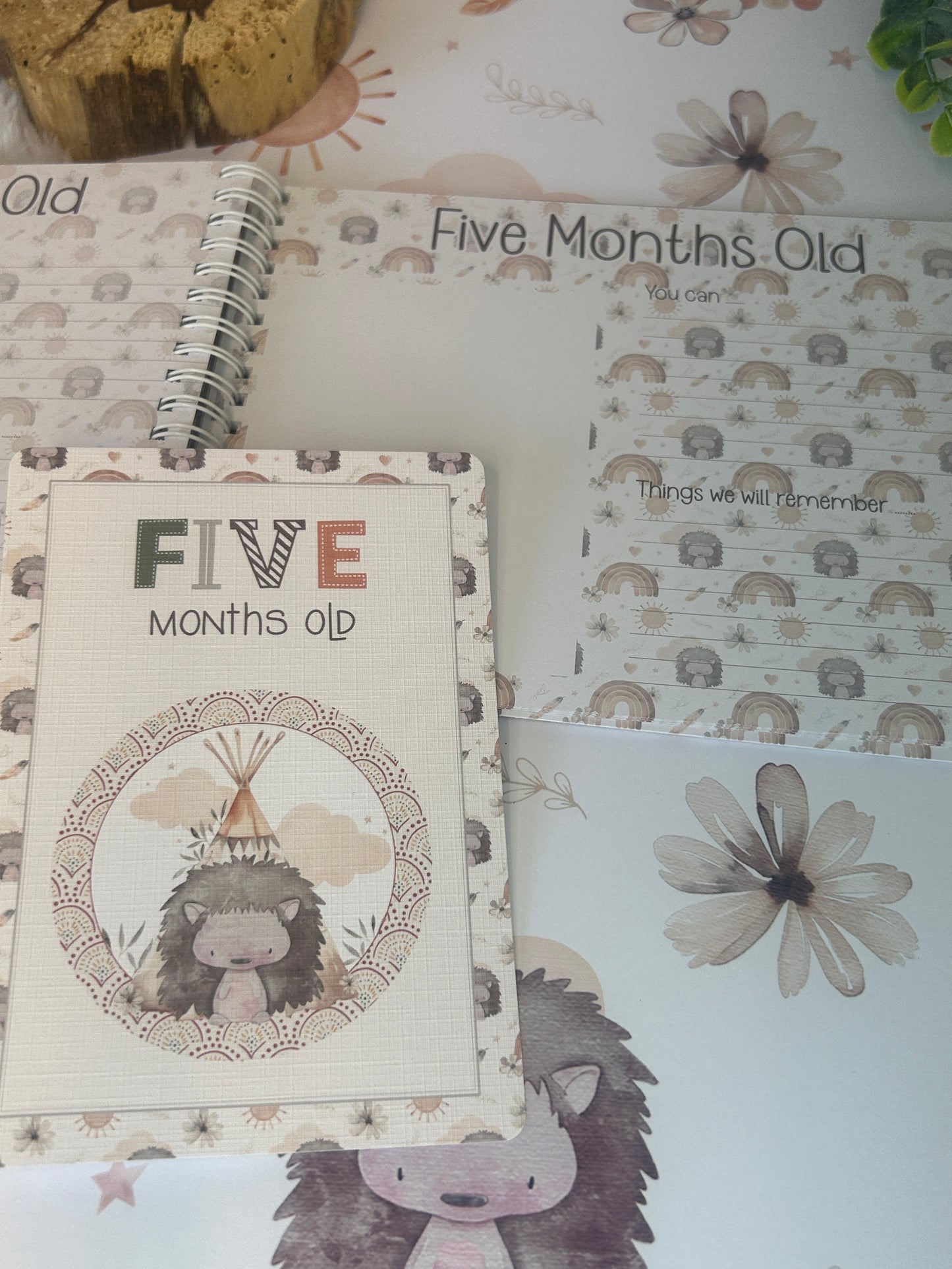Baby milestone cards, Boho Hedgehog Rainbow, Baby shower Gift, My first year, New baby gift