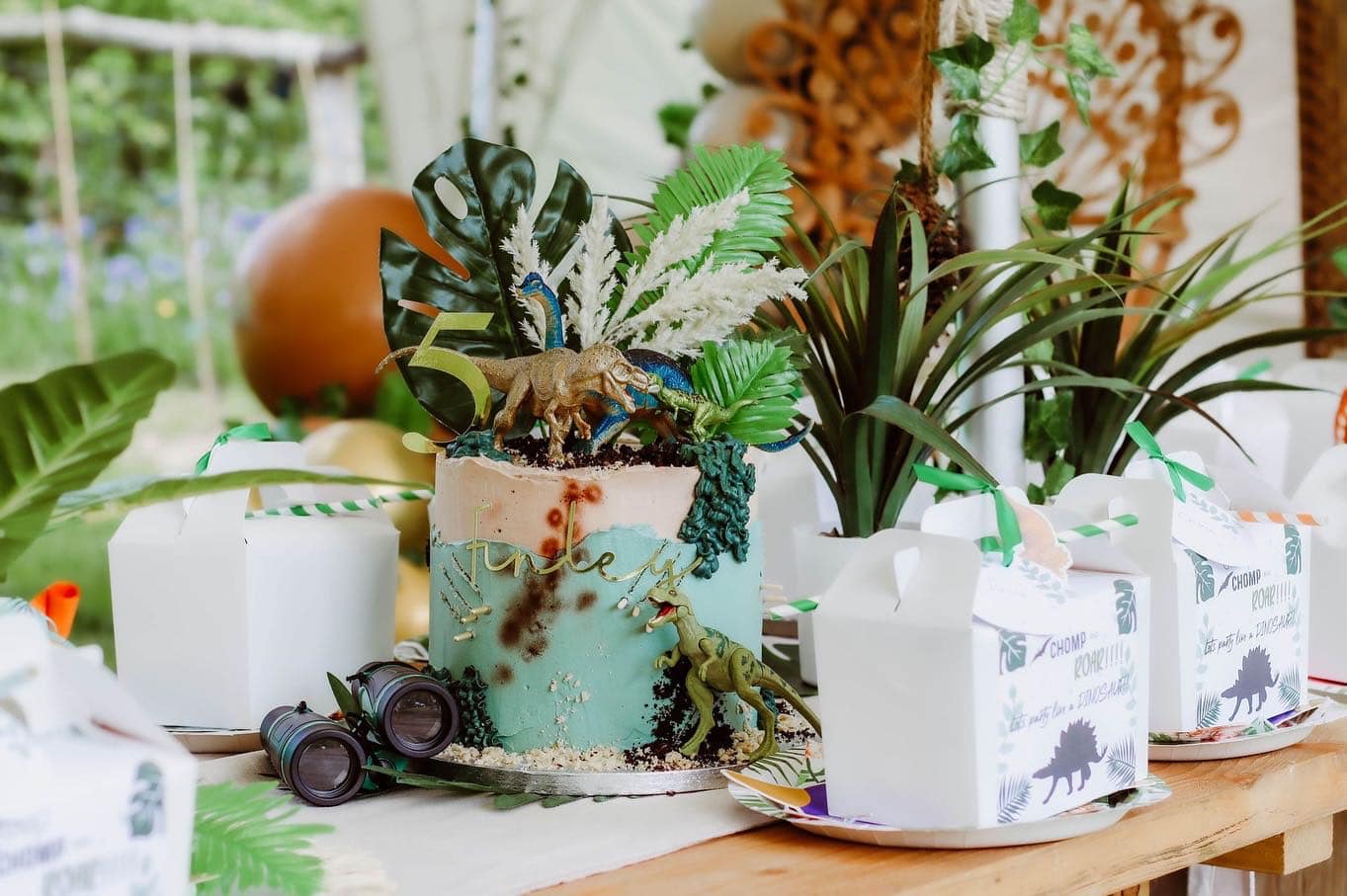 Stomp, Comp & ROAR Dinosaur Party Boxes - Birthday Party
