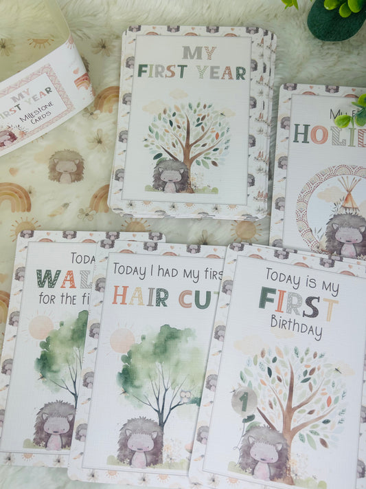 Baby milestone cards, Boho Hedgehog Rainbow, Baby shower Gift, My first year, New baby gift